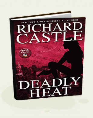 storm front by richard castle