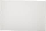 Sax Sulphite Drawing Paper, 80 lb, 12 x 18 Inches, Extra-White, Pack of 500-053946