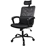 Office Chair, Ergonomic Mesh Home Office Computer Chair with Lumbar Support/Adjustable Headrest/Armrest and Wheels/Mesh High Back/Swivel Rolling (Black)