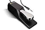 M-Audio SP 2 - Universal Sustain Pedal with Piano Style Action For MIDI Keyboards, Digital Pianos & More