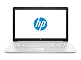 HP 17 Business Laptop - Linux Mint Cinnamon - Intel Quad-Core i5-10210U, 32GB RAM, 1TB HDD, 17.3' Inch HD+ (1600x900) Display, SD Card Reader, DVD+-RW Burner