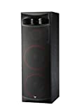 Cerwin-Vega XLS-215 Dual 15' 3-Way Home Audio Floor Tower Speaker