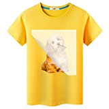 DTF Transfer Film Paper PET Heat Transfer Paper A4 (30sheet), Double-Sided Glossy Clear Pretreat DTF Film for DTF DTG Epson Inkjet Printer, Direct Print On T-Shirts Textile (8.3' x 11.7')