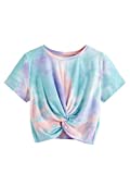 SweatyRocks Women's Casual Twist Front Short Sleeve Crop Top T-Shirt Blue Purple Large