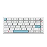 EPOMAKER Sushi 121 Keys PBT XDA Profile Keycaps Set for Mechanical Gaming Keyboard, ANSI Layout, Compatible with Cherry Gateron Kailh Otemu MX Structure (Sushi)