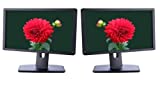 Dell Dual P1913T Wide Screen 19 inch Desktop Computer Tower Monitor for Home Office, LED Backlit Display, (VGA, Display, DVI Ports) 5ms Response time (Renewed)