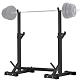 CANPA Adjustable Squat Rack Stand Multi-Function Barbell Rack Weight Lifting Gym Dumbbell Racks Home Gym Bench Press Rack Dumbbell Racks Stands 600Lbs (Black)