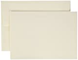 Canson 100511542 Artist Series Montval Watercolor Cards & Envelopes, 140 Pound, 5 x 7 Inch, 30 Set Pack