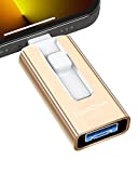 Sunany USB Flash Drive 256 GB Compatible with Phone and Pad, High Speed External Thumb Drives USB Memory Storage Photo Stick for Save More Photos and Videos (Gold)