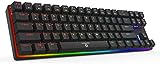 DREVO Calibur 60% Mechanical Gaming Keyboard RGB Backlit Wireless Bluetooth 4.0 and USB Wired 71 Key Compact TKL Red Switch
