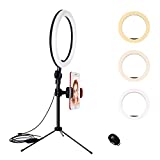 YMCRLUX Desk Ring Light with Stand and Phone Holder for Laptop, Computer, 10 Inch Desktop Ring Light for Webcam, Zoom Meetings, Video Conferencing, Video Calls, Live Streaming, Vlog, Makeup, Camera