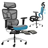 SAMOFU Ergonomic Office Chair with Foot Rest, High Back Desk Chair with 3D Adjustable Backrest, Mesh Computer Chair with 5D Armrest and Breathable Mesh Seat for Relaxation, 5 Years Warranty