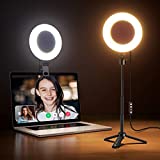 Weilisi 6.5'' Ring Light for Computer with Adjustable Tripod,3 Light Modes Video Conference Lighting,Mini Ring Light for Laptop,Webcam Light,Zoom Light,Desk Ring Light,Selfie Ring Light