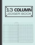 13 Column Ledger Book: Log Book For Small Business and Personal Finance / Accounting Ledger Book / Simple Ledger Book: Thirteen Column Ledger / ... Pages / 8.5 x 11 Inch / Aqua Squeeze Cover