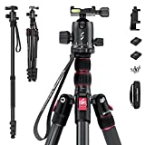 SmallRig Selection 78' Camera Tripod, Foldable Aluminum Tripod & Monopod, 360°Ball Head Detachable and Quick Release Plate, Payload 33lb, Adjustable Height from 18.5' to 78' for Camera, Phone
