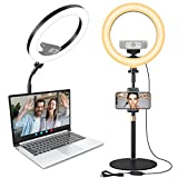 Ring Light for Computer Video Conference Lighting, 10'' Desktop Zoom Meeting Light for Laptop with Stand & Phone Holder, Ring Lighting for Video Conferencing, Zoom Meeting, Webcam Light, Live Stream