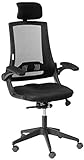 KADIRYA High Back Ergonomic Mesh Office Chair with Mesh Seat - Adjustable 90-110 Degree Tilt Lock, Flip-up Armrest, Lumbar Support and Headrest Computer Desk Task Chair, Black