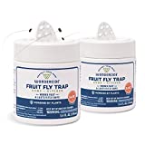 Wondercide - Fruit Fly Trap for Kitchen, Home, and Indoor Areas - Fruit Fly Killer - Pet and People Safe - Made in USA & Plant Based - 5.4 oz - 2 Pack