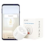 Smarter Living– Smart WiFi Gas Detector (Natural Gas, Propane, and Other Flammable Gases), Loud 70dB Alarm, Phone Notifications, No Hub Required, Reliable Sensor, Modern White Status LED