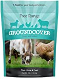 Barenbrug Free Range GroundCover Forage Seed Mixture Ideal for Chickens, Game Birds, Goats, and Sheep, 3 lbs, Blue