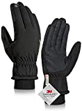 Winter Gloves for Men, TRENDOUX Water Resistance Women 3M Thinsulate, Outdoor Skiing Hiking Touchscreen, Windproof Cuff, Thick Thermal Wicking Insert, Snowboard Snow Running (Black L)