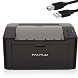 Pantum P2502W Monochrome Laser Printer for Home Office School Student Mobile Wireless Black and White Printing- Small Laserjet