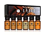 Spice Set of 6 Premium Grade Fragrance Oils - Cinnamon, Harvest Spice, Apple Cider, Coffee Cake, Gingerbread, Pumpkin Pie - 10ml