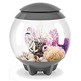 biOrb Halo 15 Aquarium with MCR Light - 4 Gallon, Grey,72037