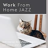 Charge Up the Laptop