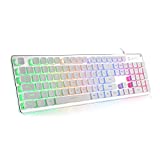 LANGTU Membrane Gaming Keyboard, Rainbow LED Backlit Quiet Keyboard for Office, USB Wired All-Metal Panel 25 Keys Anti-ghosting Computer Keyboard 104 Keys - L1 White/Silver…