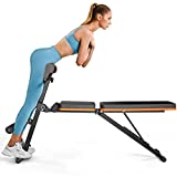 PERLECARE Adjustable Weight Bench for Full Body Workout, All-in-One Exercise Bench Supports up to 772lbs, Foldable Flat, Incline, Decline Workout Bench with Two Exercise Bands for Home Gym, PCWB01 Upgraded Version