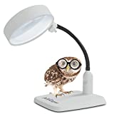 JollyCaper - Magnifying Glass with Light and Stand - 8X Magnification - 6 LED - Great for Sewing Table, Crafts, Reading Light, Jewelry