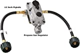 Flame King (KT12ACR6a) 2-Stage Auto Changeover LP Propane Gas Regulator With Two 12 Inch Pigtails For RVs, Vans, Trailers