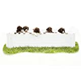 Clean Earth Works - 48” x 48” - White Large Vinyl Plastic Whelping Box & Puppy Playpen, Good for All Animals - Indoors & Outdoors - 48”L x 48”W x 11”H