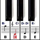 Piano Stickers for Keys – Removable w/Double Layer Coating for 49/61 / 76/88 Keyboards