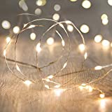 LED Fairy String Lights,ANJAYLIA 10Ft/3M 30leds Firefly String Lights Garden Home Party Wedding Festival Decorations Crafting Battery Operated Lights(Warm White)