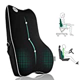 Lumbar Support Pillow,Pure Memory Foam Back Cushion Orthopedic Backrest with Breathable 3D Mesh for Car Seat,Office Chair,Computer Chair,Wheelchair and Recliner.Ergonomic Design (Grey Edge)