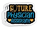 Future Physician Assistant - PA Student Future PA Gift Decorations - 4x3 Vinyl Stickers, Laptop Decal, Water Bottle Sticker (Set of 3)