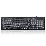 Perixx PERIBOARD-317 Wired Backlit USB Keyboard, Big Print Letter with White Illuminated LED, US English Layout