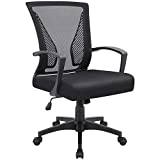Office Chair Home Office Desk Chair Task Mid Back Mesh Chair Ergonomic Swivel Lumbar Support Desk Computer Chair (Black)