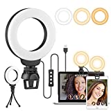 4' Ring Light for Laptop with Stand & Clip,Video Conference Lighting Kit, Webcam Zoom Lighting for Computer, Laptop Light for Zoom Meetings,Makeup,Selfie,Tiktok,(Dimmable & USB Powered)