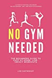 No Gym Needed: The Beginners Guide to Easy At-Home, Low-Impact Workouts