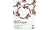 Art Advantage Rice Paper 9x12 100pc