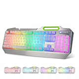 Lumsburry RGB LED Backlit Gaming Keyboard with Anti-ghosting, Light up Keys Multimedia Control, USB Wired Waterproof Metal Keyboard for PC Games Office (Silver&White)