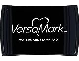 Tsukineko VM000001 Full-Size VersaMark Pigment Inkpad, 3-Inch X 2-Inch, Clear