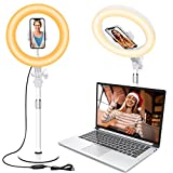 Video Conference Lighting for Laptop Computer, 10.5'' Desk Ring Light with Phone Holder for Zoom Meetings/Video Calls/Makeup/Live Stream/Photo, Dimmable Ringlights for iPhone/Camera/Webcam Lighting