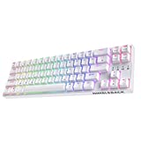 LTC NB681 Nimbleback Wired 65% Mechanical Keyboard, RGB Backlit Ultra-Compact 68 Keys Gaming Keyboard with Hot-Swappable Switch and Stand-Alone Arrow/Control Keys (Hot Swappable Brown Switch, White)
