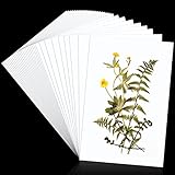 30 Pcs Blotting Paper for Flower Press Large A4 Flower Press Paper Blotter Paper Highly Absorbent Reusable Herbarium Paper Refill Lining Paper for Art Craft Scrapbook Making, 11.81 x 7.87 Inches