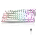7KEYS 80% TKL Compact Gaming Keyboard, Rechargeable Wireless RGB Backlight Silent Wired Keyboard, Portable Type-C USB Keyboard, Compatible with Desktop MAC Laptop, for Gaming and Office Keyboard