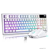 ZJFKSDYX C87 Wireless Gaming Keyboard and Mouse Combo, RGB Backlit Rechargeable 3600mAh Battery, Mechanical Feel Anti-ghosting Keyboard + 7D 3200DPI Mice for PC Gamer (White)
